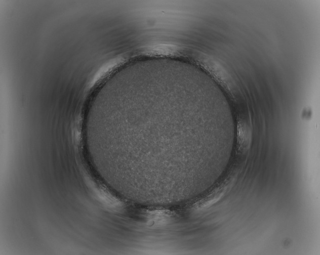 X0000091550396200708171309