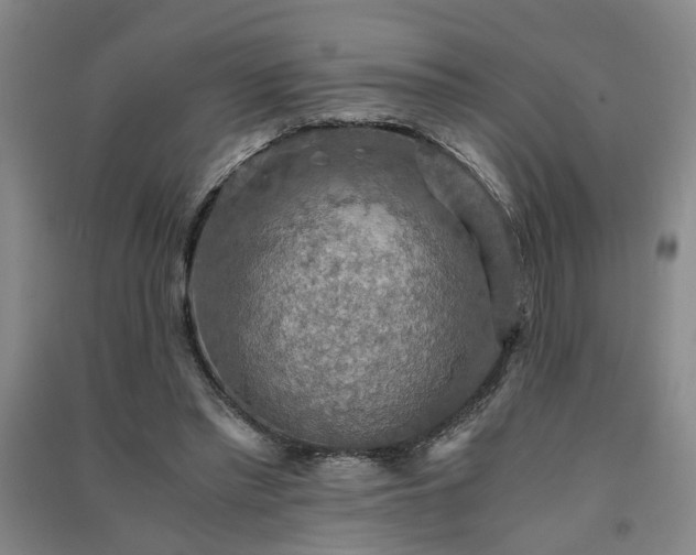 X0000091550397200708171309