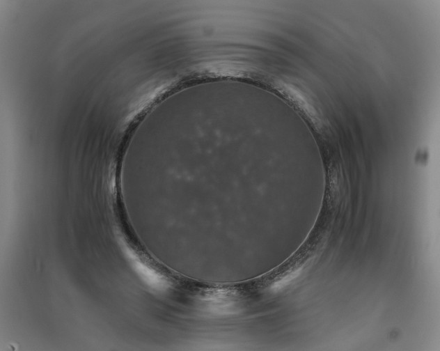 X0000091550398200708171309