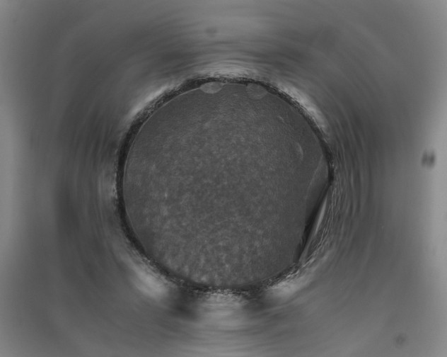 X0000091550399200708171309