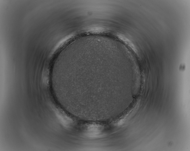 X0000091550400200708171309