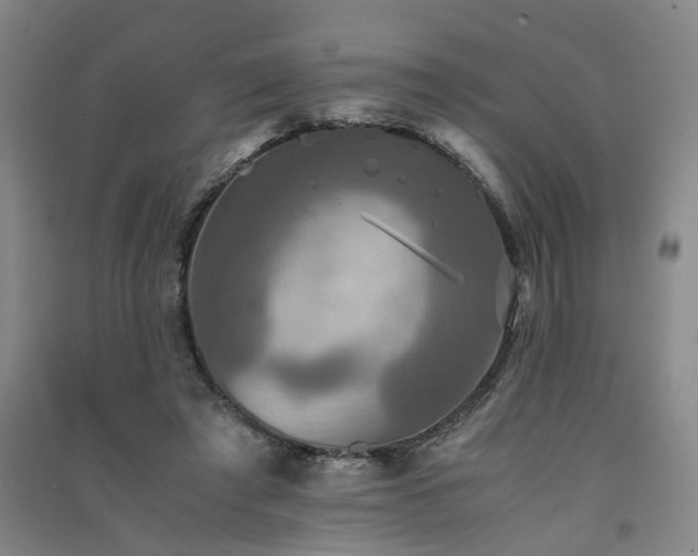 X0000091550401200708171309