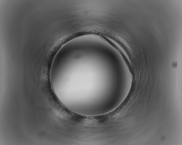X0000091550403200708171309