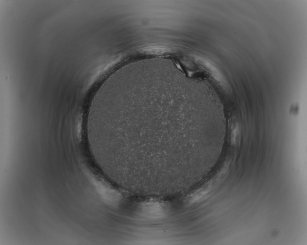 X0000091550404200708171309