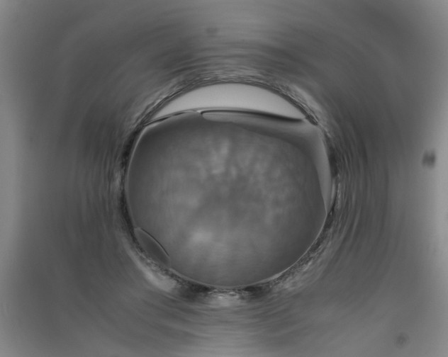 X0000091550405200708171309