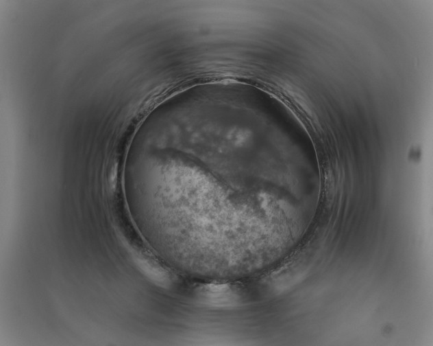 X0000091550406200708171309