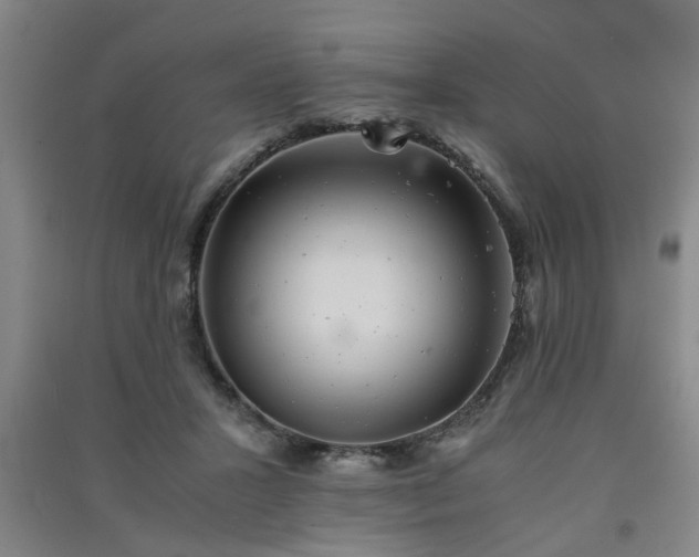 X0000091550407200708171309