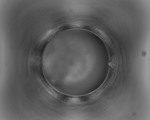 X0000091550409200708171309