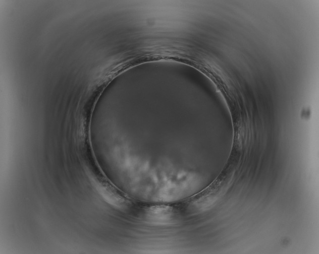 X0000091550410200708171309