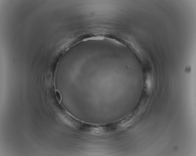 X0000091550411200708171309