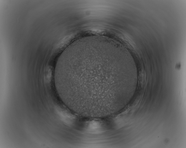 X0000091550412200708171309