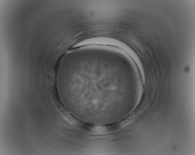 X0000091550413200708171309