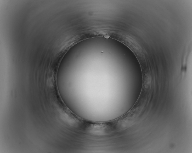 X0000091550414200708171309
