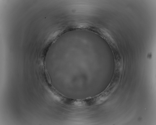 X0000091550415200708171309