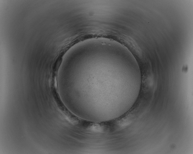 X0000091550416200708171309