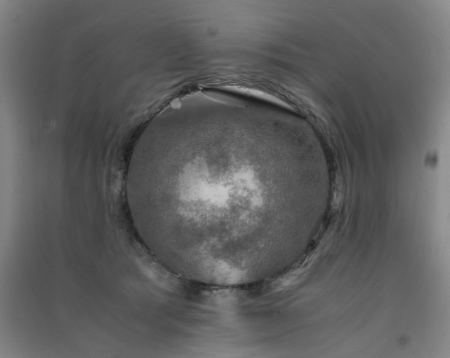 X0000091550417200708171309