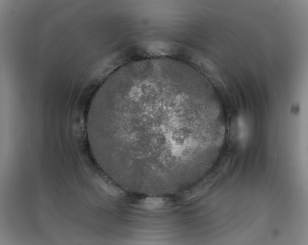 X0000091550418200708171309