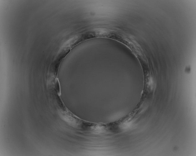 X0000091550419200708171309