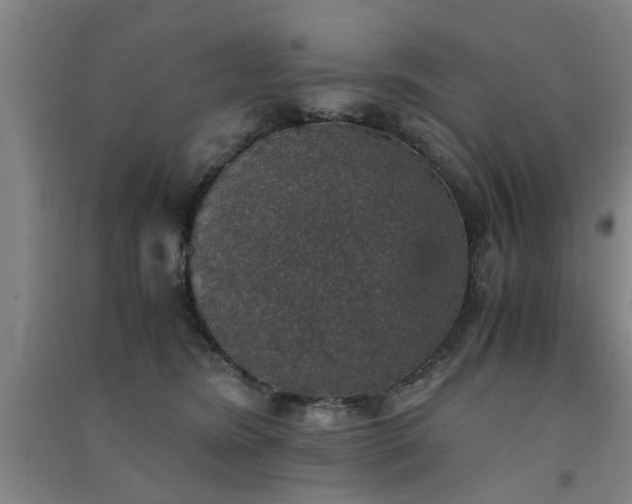 X0000091550420200708171309