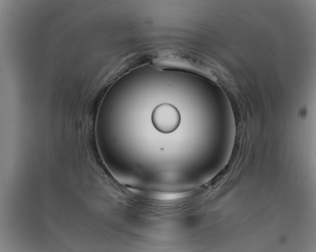 X0000091550421200708171309