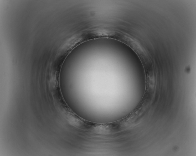 X0000091550422200708171309