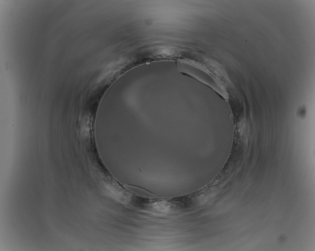 X0000091550423200708171309
