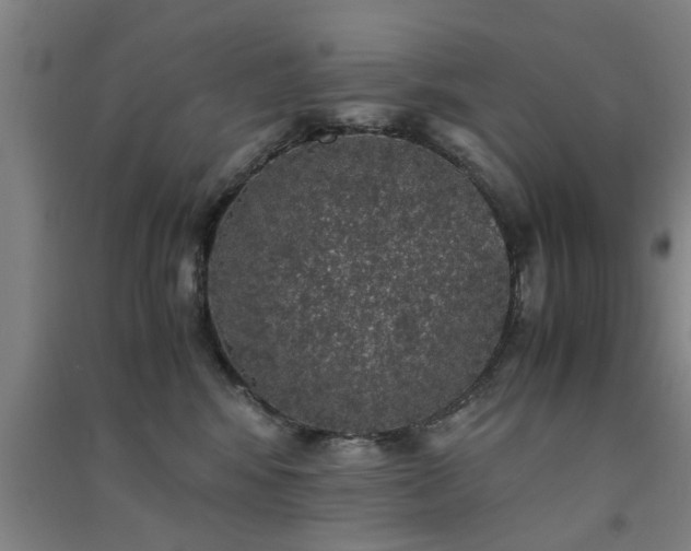 X0000091550424200708171309