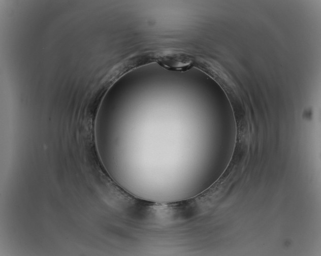 X0000091550425200708171309