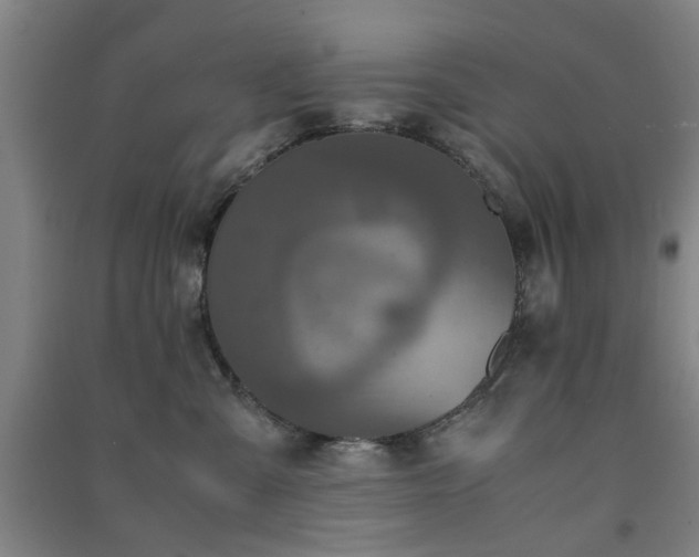 X0000091550427200708171309