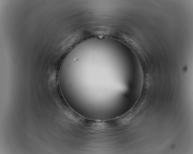 X0000091550428200708171309
