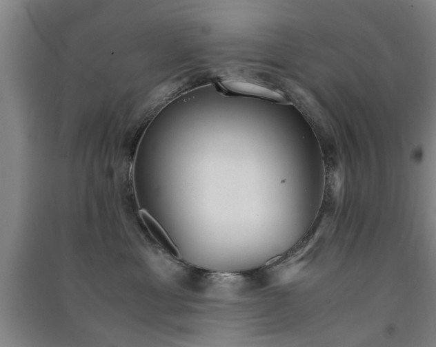 X0000091550429200708171309