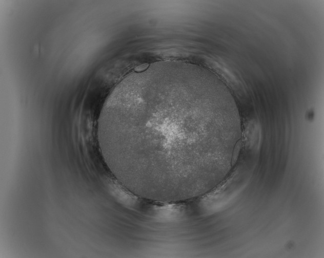 X0000091550430200708171309
