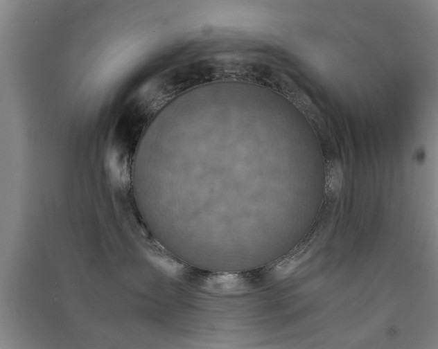X0000091550431200708171309