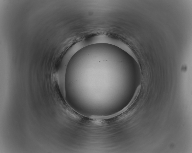 X0000091550432200708171309