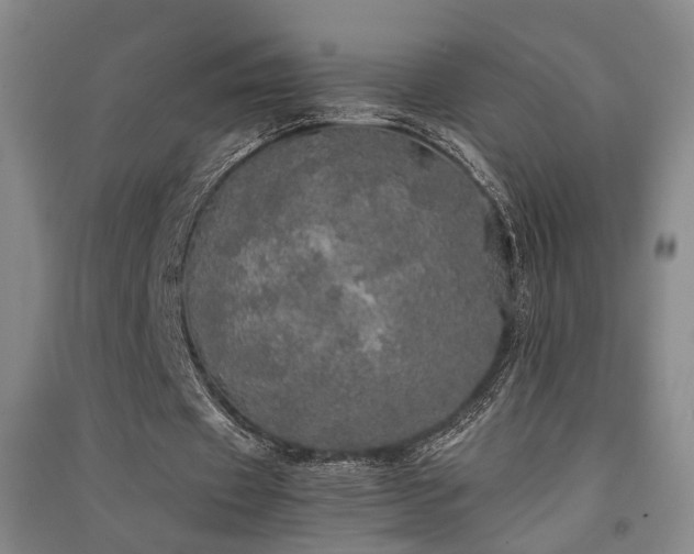 X0000091550433200708171308