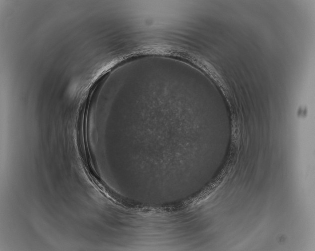 X0000091550434200708171308