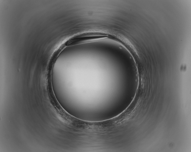 X0000091550436200708171308