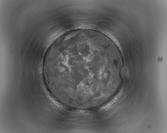 X0000091550437200708171308