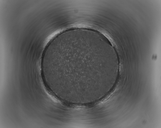 X0000091550438200708171308