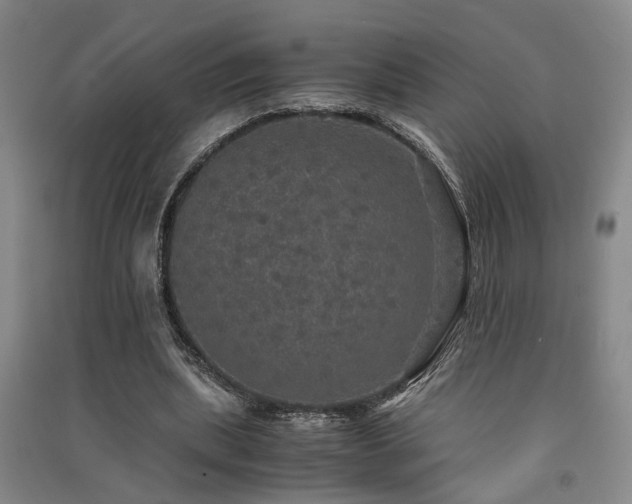 X0000091550439200708171308