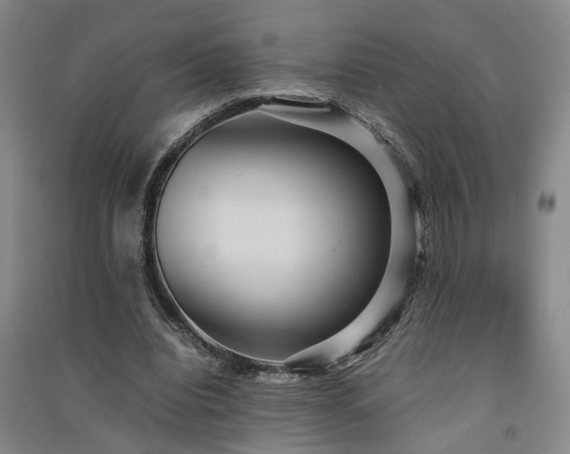 X0000091550440200708171308