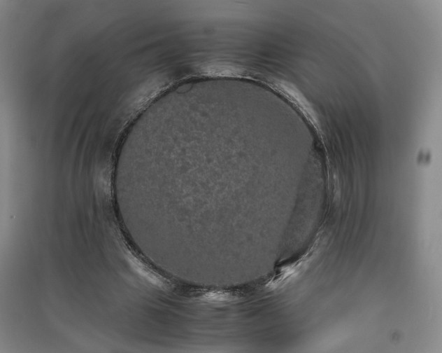 X0000091550441200708171308