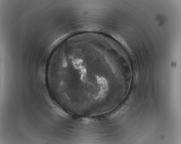 X0000091550442200708171308
