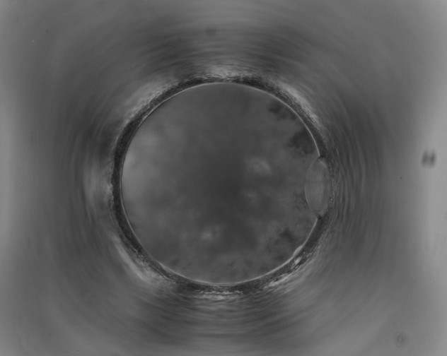 X0000091550443200708171308
