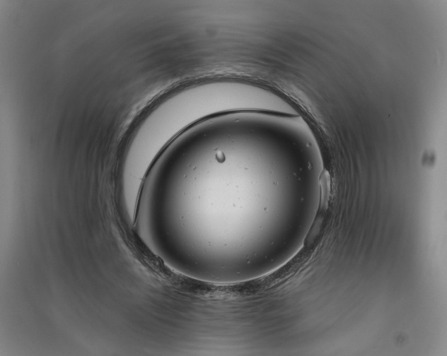 X0000091550444200708171308