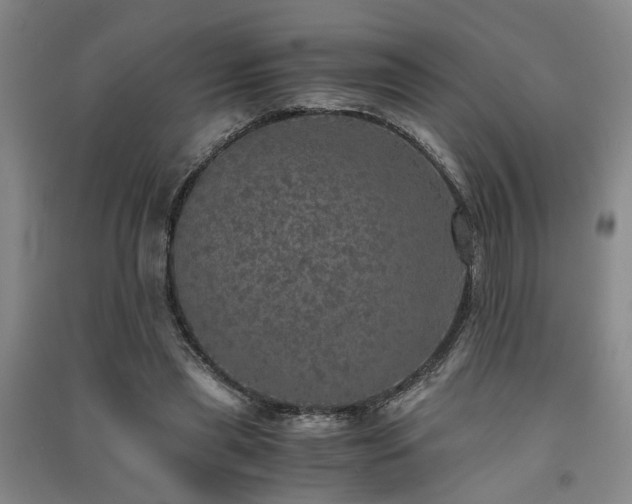 X0000091550445200708171308