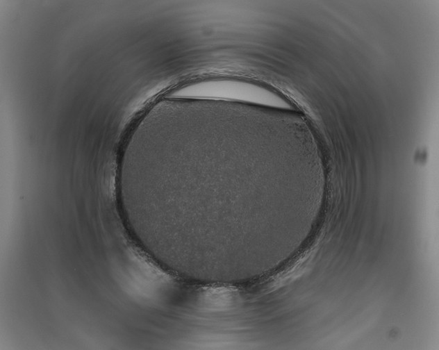X0000091550446200708171308