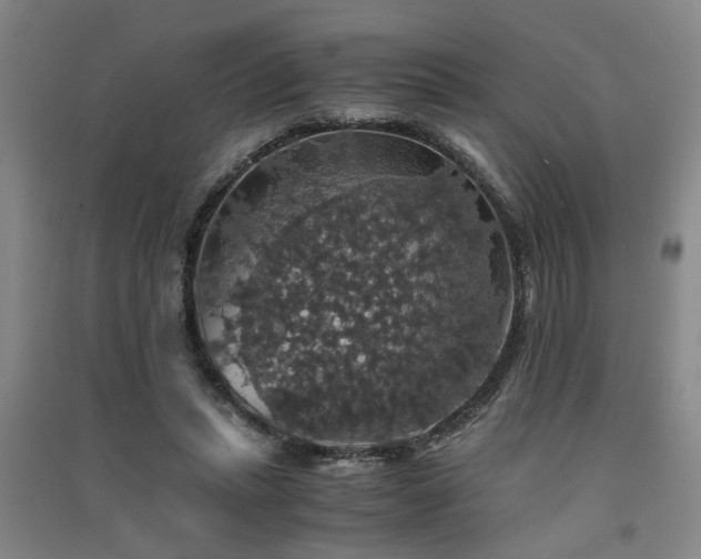 X0000091550447200708171308