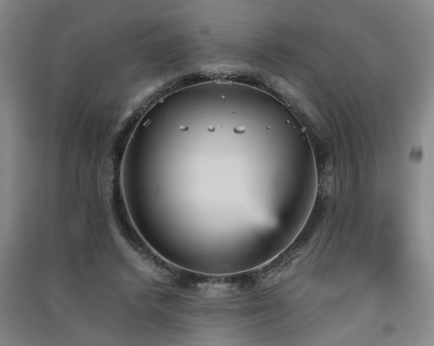 X0000091550448200708171308