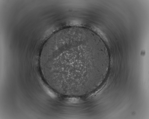 X0000091550449200708171308